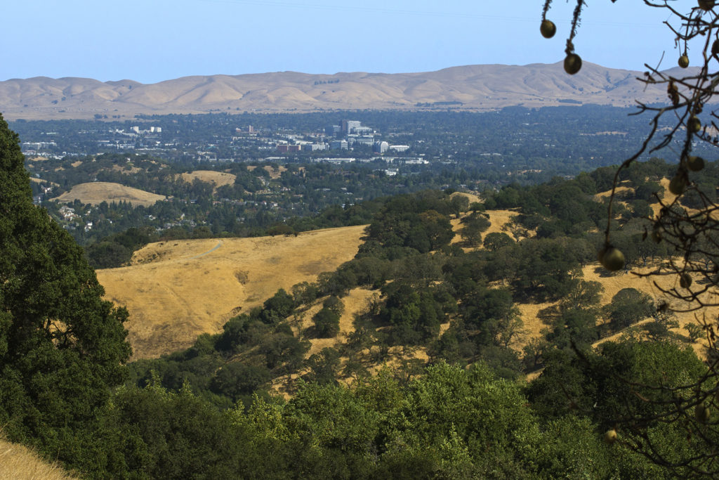 East Bay Hikes